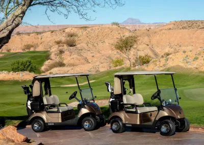 voiturettes de golf yamaha drive 2 or